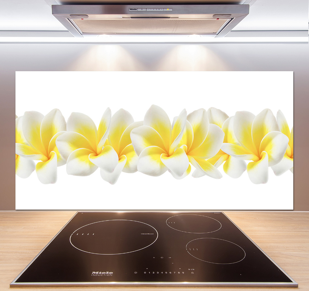 Kitchen splashback Plumeria