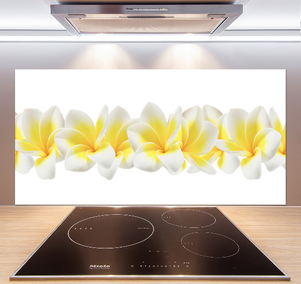 Kitchen splashback Plumeria