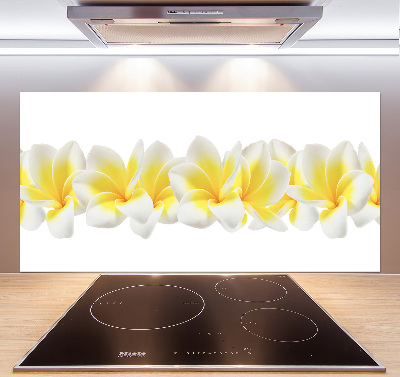 Kitchen splashback Plumeria