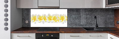 Kitchen splashback Plumeria