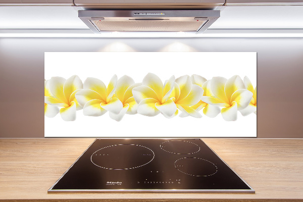 Kitchen splashback Plumeria