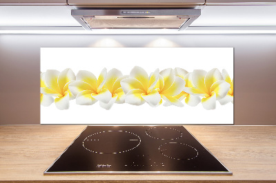 Kitchen splashback Plumeria