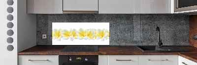 Kitchen splashback Plumeria