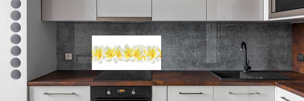 Kitchen splashback Plumeria