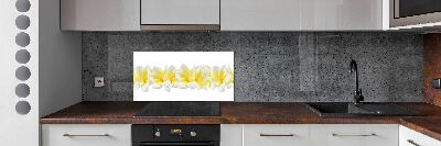 Kitchen splashback Plumeria