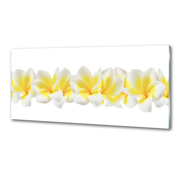 Kitchen splashback Plumeria