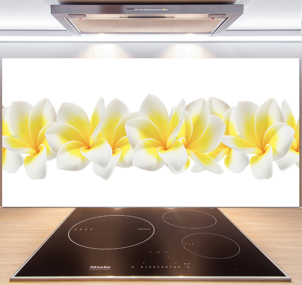 Kitchen splashback Plumeria