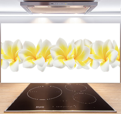 Kitchen splashback Plumeria