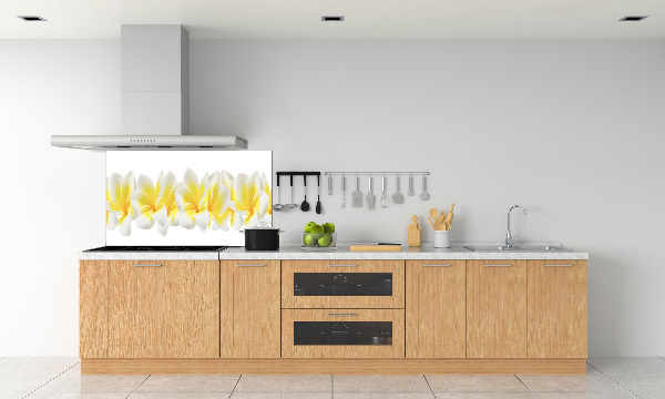 Kitchen splashback Plumeria