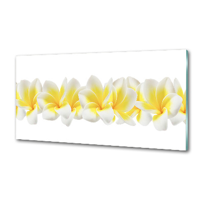 Kitchen splashback Plumeria