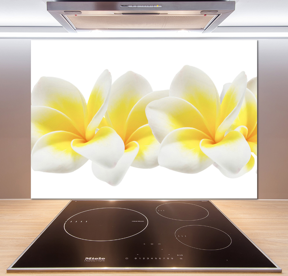 Kitchen splashback Plumeria