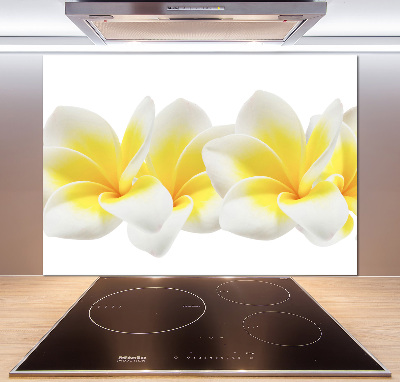 Kitchen splashback Plumeria