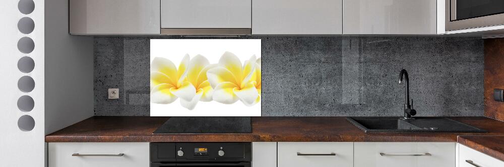 Kitchen splashback Plumeria