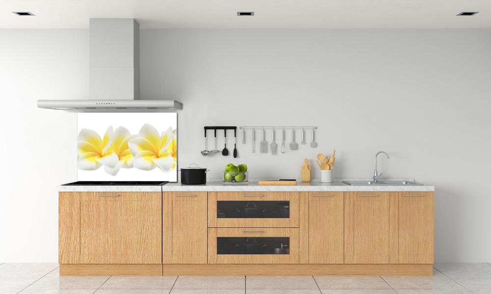 Kitchen splashback Plumeria