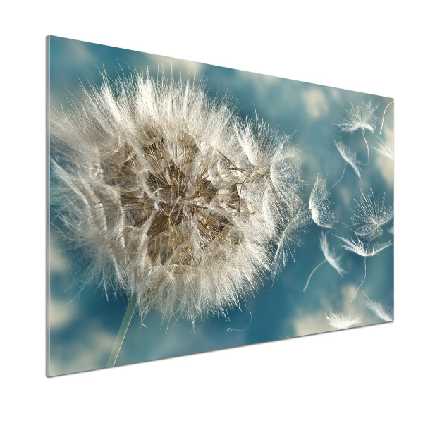 Kitchen splashback dandelions