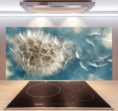 Kitchen splashback dandelions