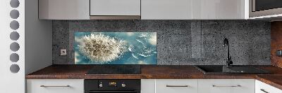 Kitchen splashback dandelions