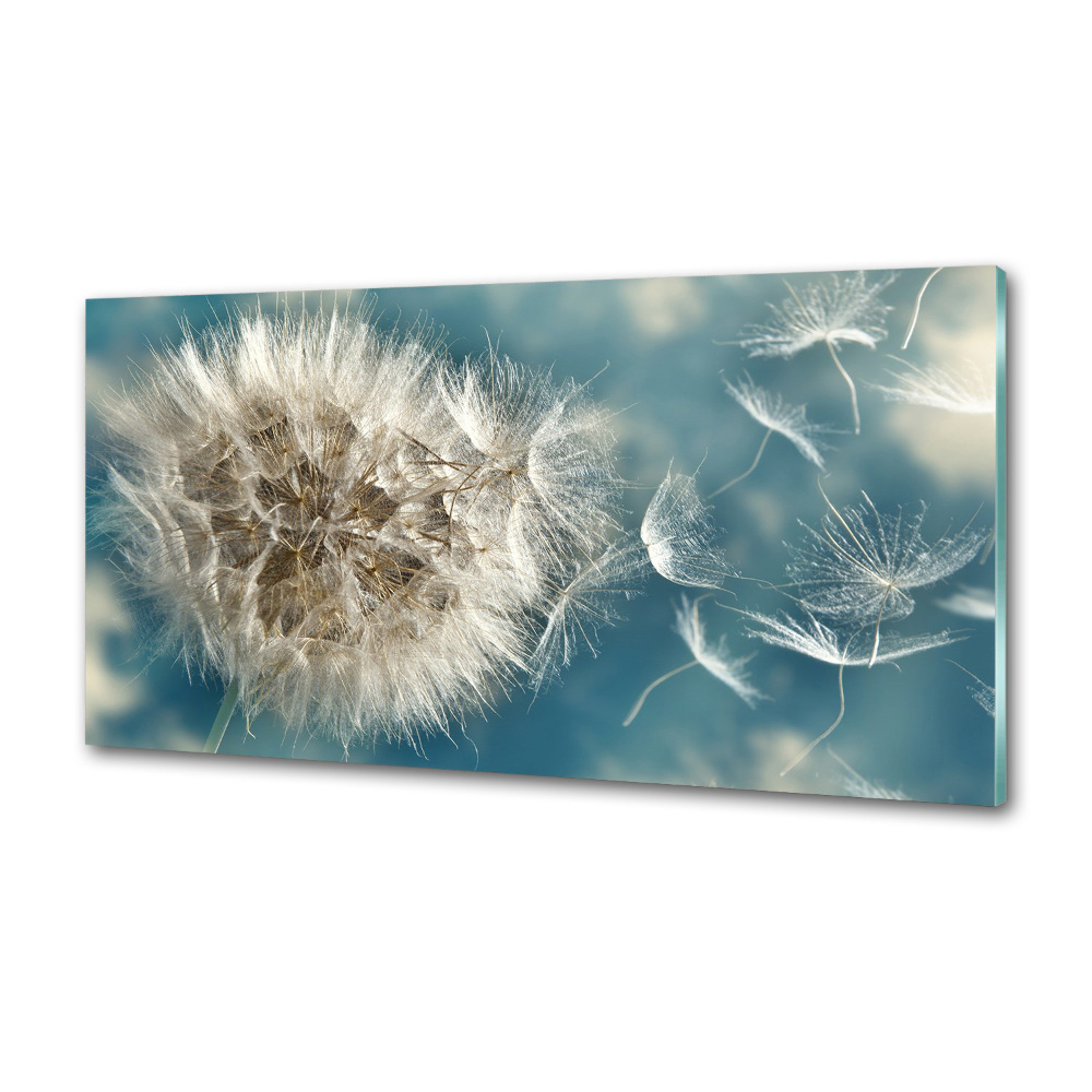 Kitchen splashback dandelions