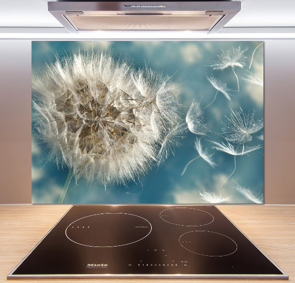 Kitchen splashback dandelions