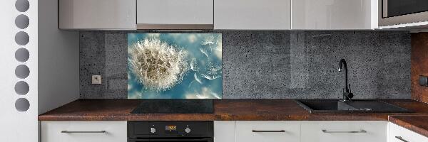 Kitchen splashback dandelions