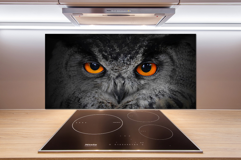 Cooker splashback Owl devilish eyes