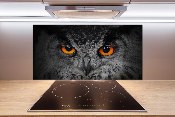 Cooker splashback Owl devilish eyes