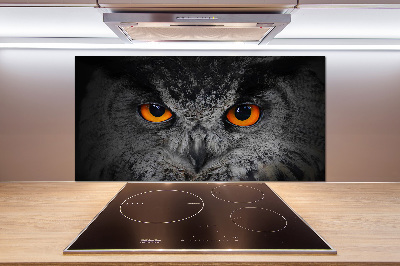 Cooker splashback Owl devilish eyes