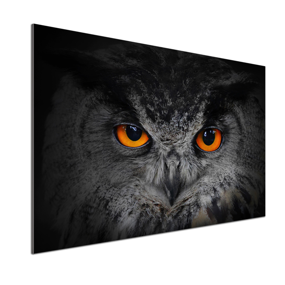 Cooker splashback Owl devilish eyes