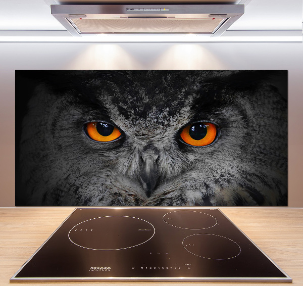 Cooker splashback Owl devilish eyes