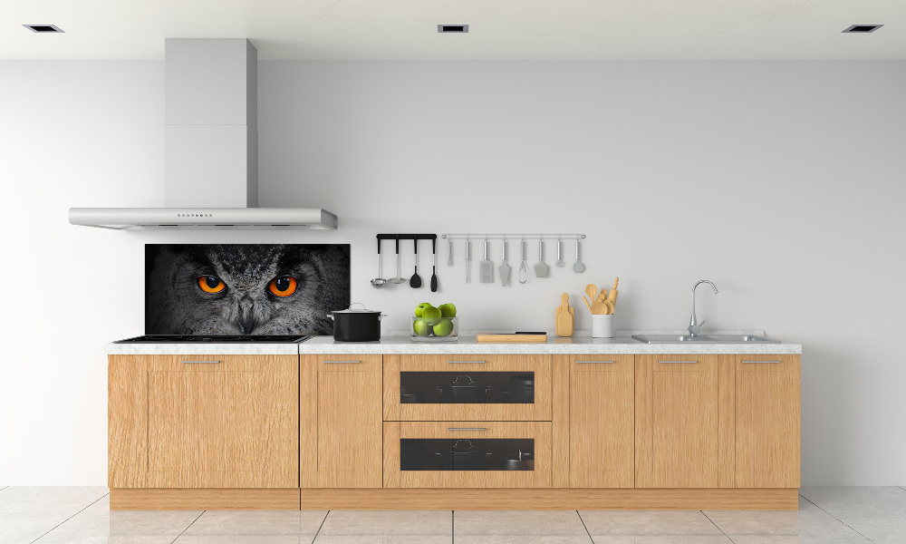 Cooker splashback Owl devilish eyes