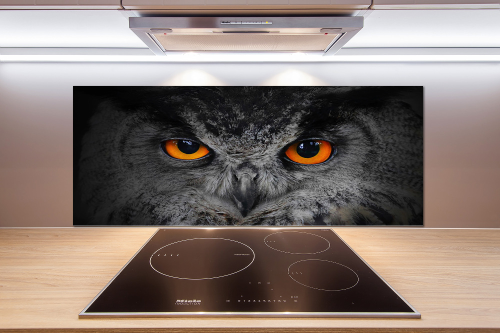 Cooker splashback Owl devilish eyes