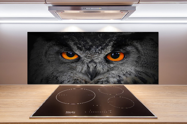 Cooker splashback Owl devilish eyes