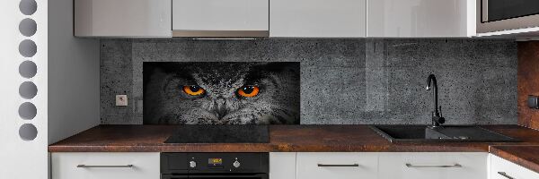 Cooker splashback Owl devilish eyes