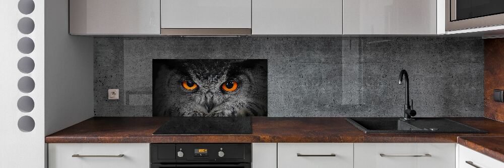 Cooker splashback Owl devilish eyes