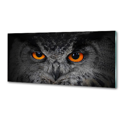 Cooker splashback Owl devilish eyes