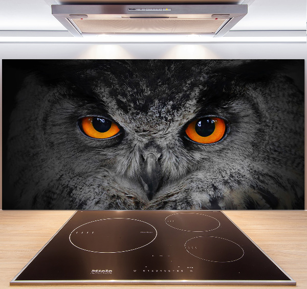 Cooker splashback Owl devilish eyes