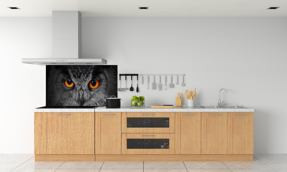 Cooker splashback Owl devilish eyes