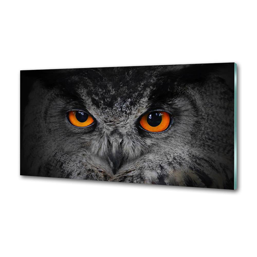 Cooker splashback Owl devilish eyes