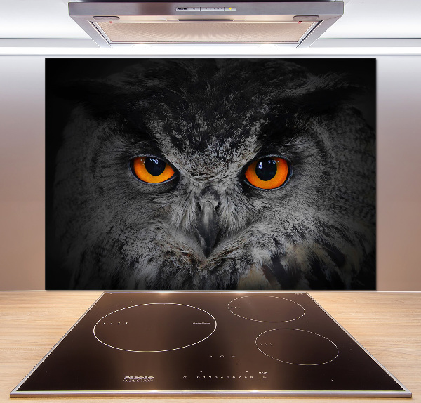 Cooker splashback Owl devilish eyes