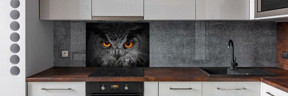 Cooker splashback Owl devilish eyes