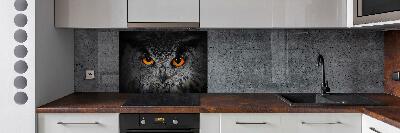 Cooker splashback Owl devilish eyes