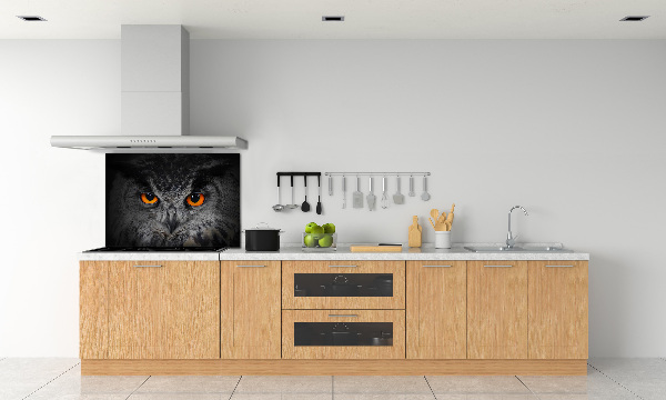 Cooker splashback Owl devilish eyes