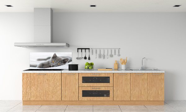 Cooker splashback Gray cat