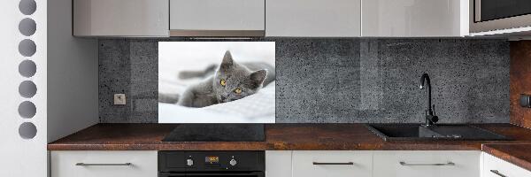 Cooker splashback Gray cat