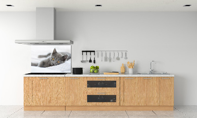 Cooker splashback Gray cat