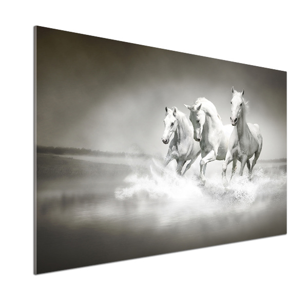 Cooker splashback White horses