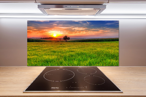 Cooker splashback Sunset meadow