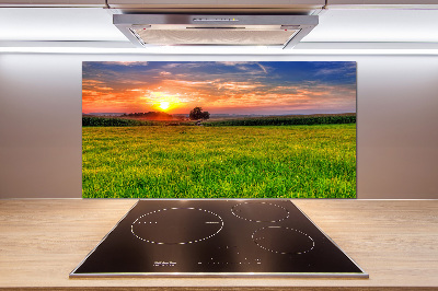 Cooker splashback Sunset meadow