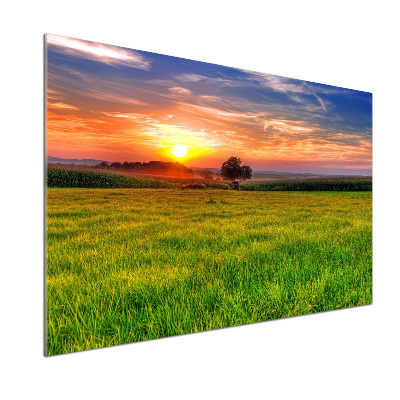 Cooker splashback Sunset meadow