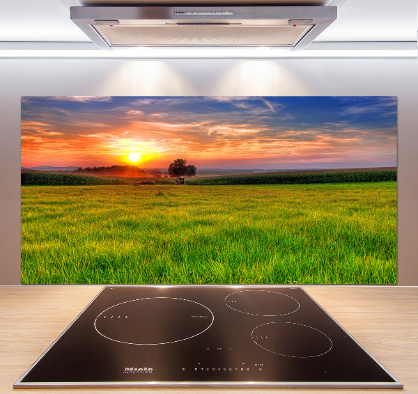 Cooker splashback Sunset meadow